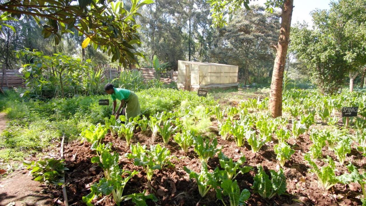 Karen Little Paradise Nairobi Buitenkant foto